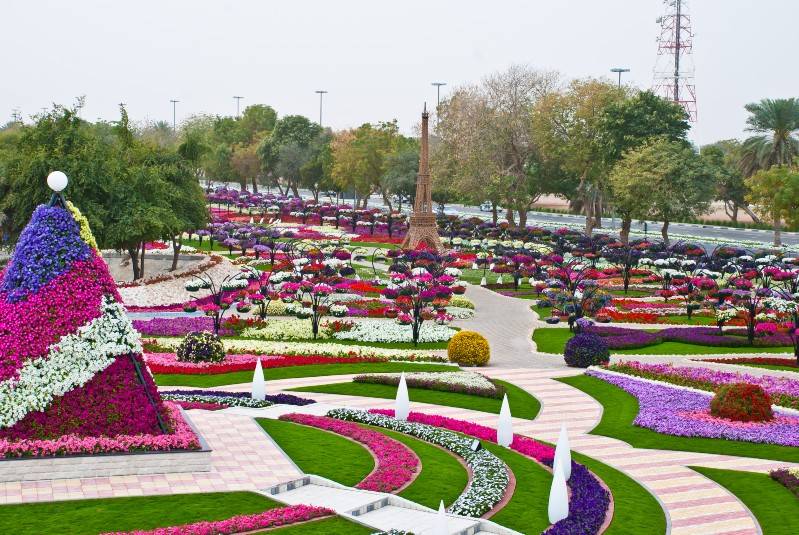 Flower club. Парк Аль-Айн. Парк цветов Аль Айн. Арабский ландшафтный парк Аль Айн. Хили-фан-Сити-Аль-Айн.