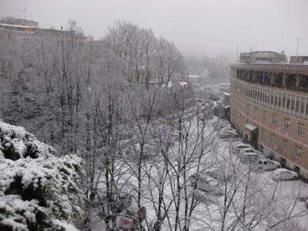 Boccadamo in white